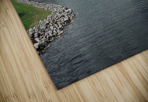 The Ugly Ann  Palumbo Photography puzzle