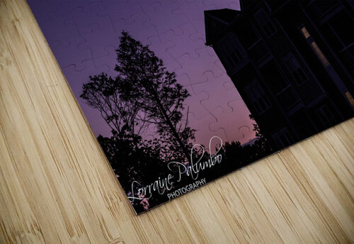 Crescent Moon Shot Palumbo Photography puzzle