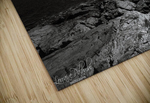 Sunburst BW Palumbo Photography puzzle