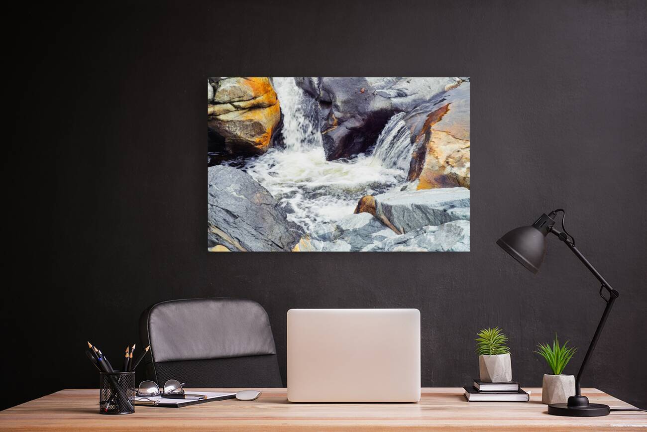 Salmon Falls v2.3 Reproduction