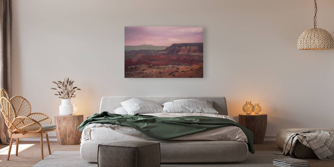 The Painted Desert Reproduction