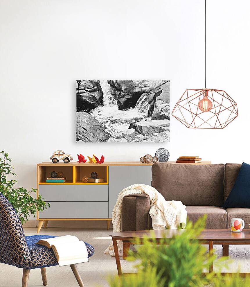 Salmon Falls BW Reproduction