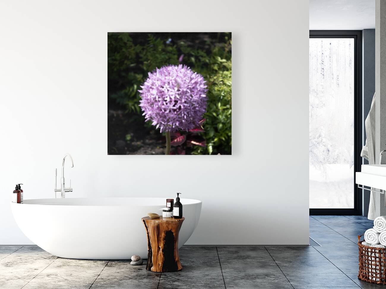 Purple Allium Reproduction