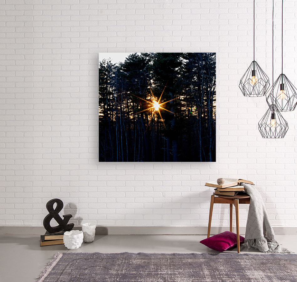 Sunstar Over Riverside Woods Reproduction
