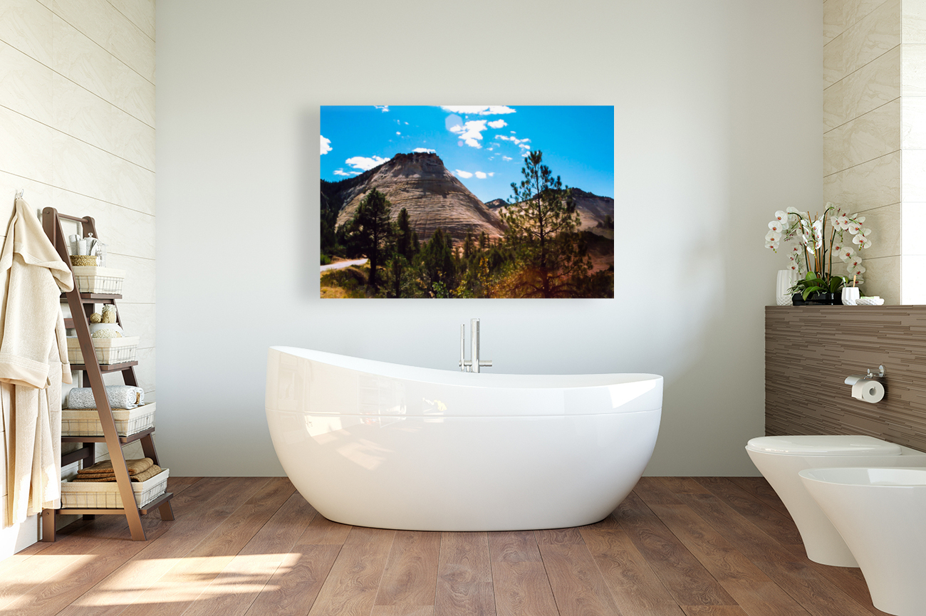 Checkerboard Mesa Reproduction