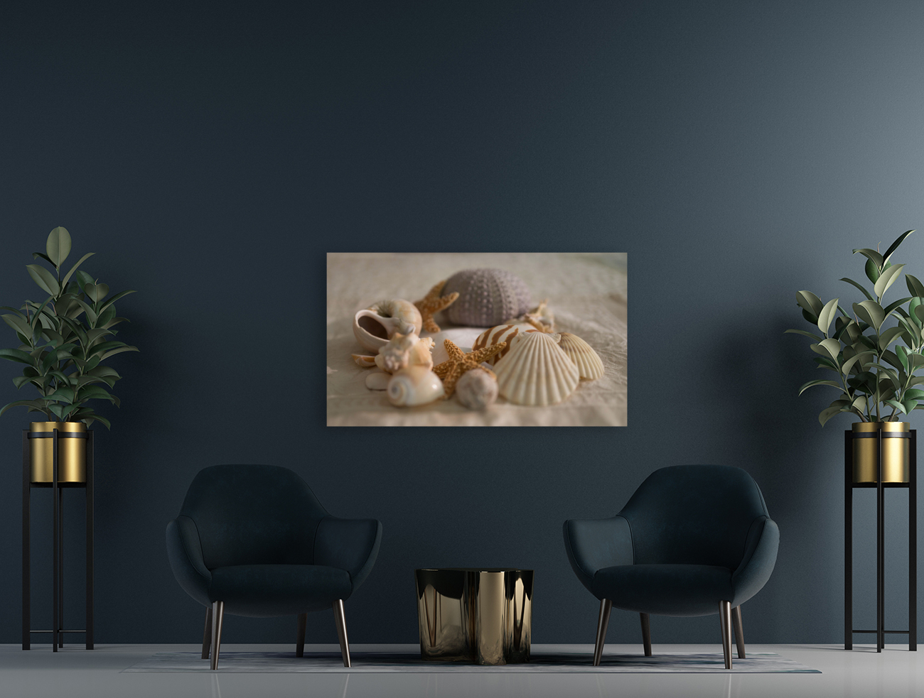 Sea Shell Collection v1.2 Reproduction