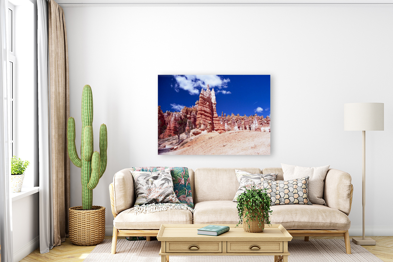 Hiking Along Navajo Trail Utah by Palumbo Photography Wall Art