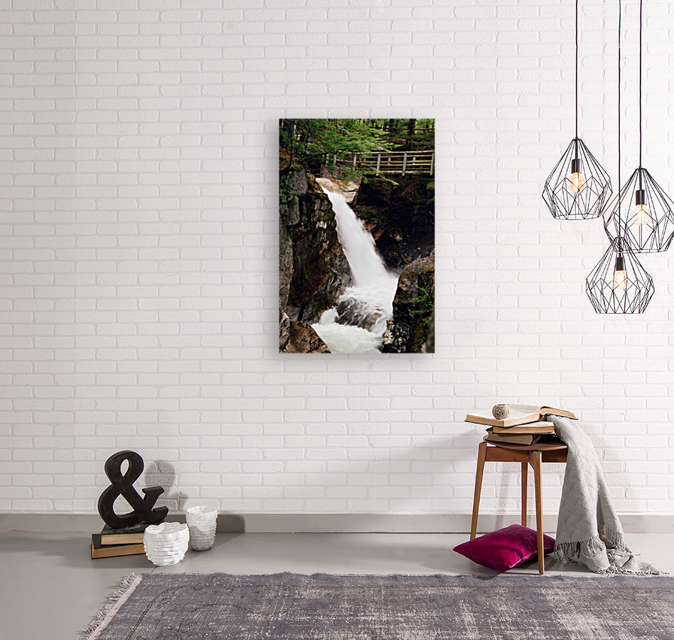 Sabbaday Falls v1 Reproduction