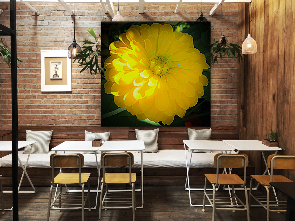 Yellow Dahlia Macro Reproduction