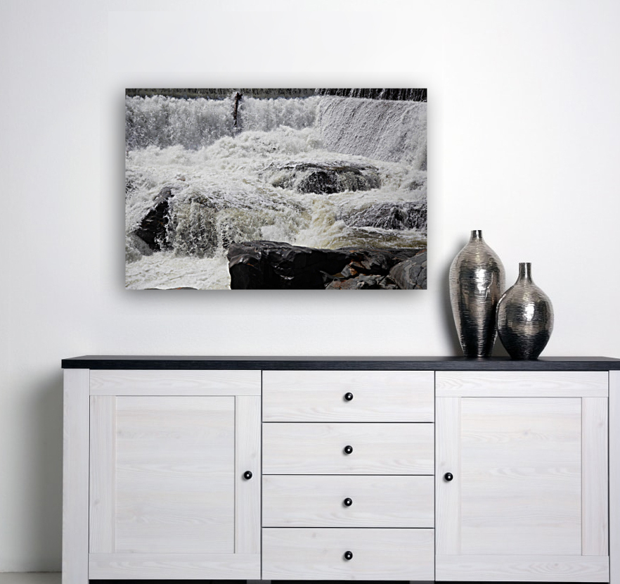 Raging Salmon Falls Reproduction