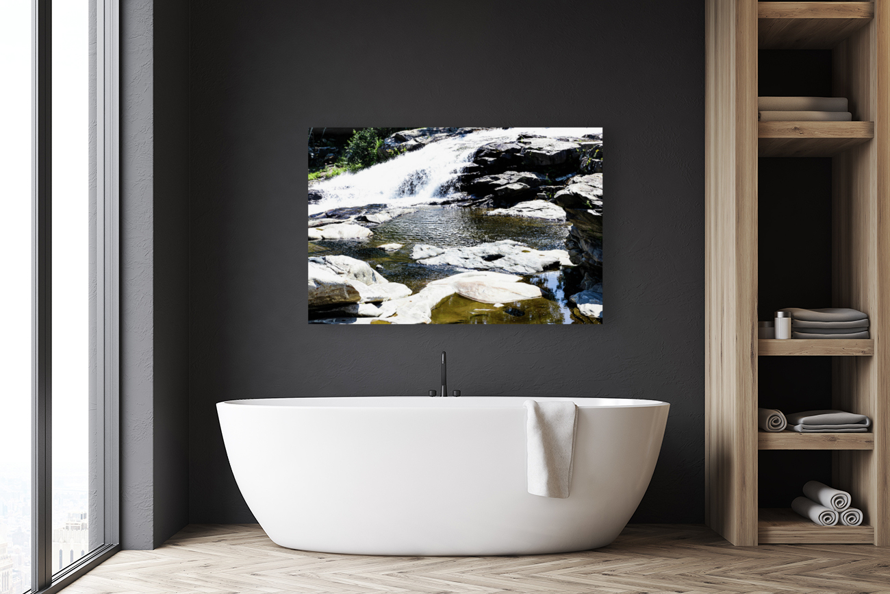 Salmon Falls v1 Reproduction