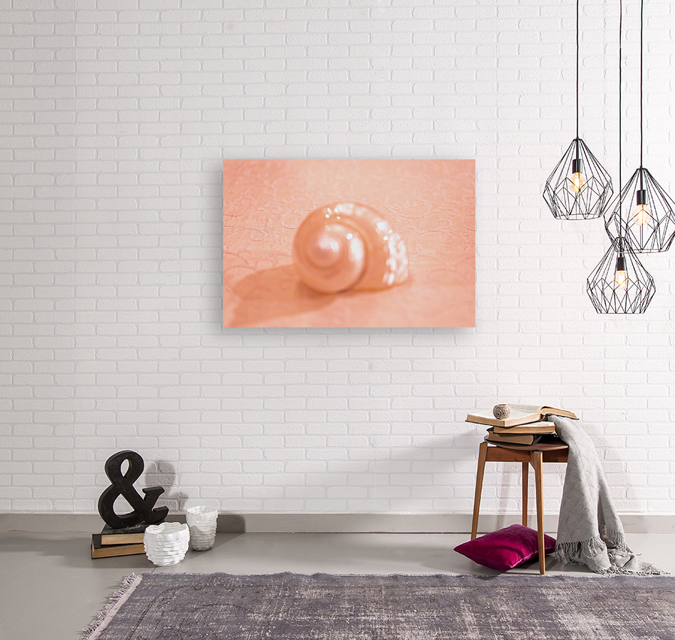 Opal Conch Shell Macro Reproduction