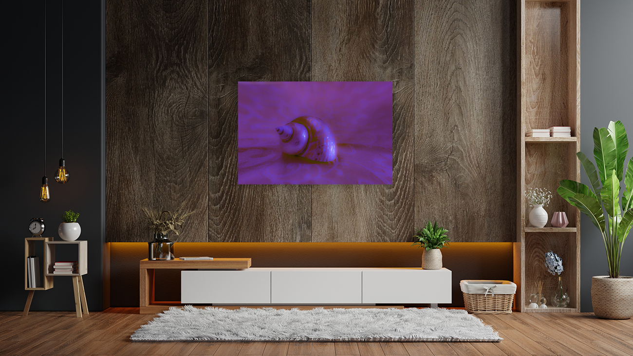 Conch Shell Digital  Reproduction