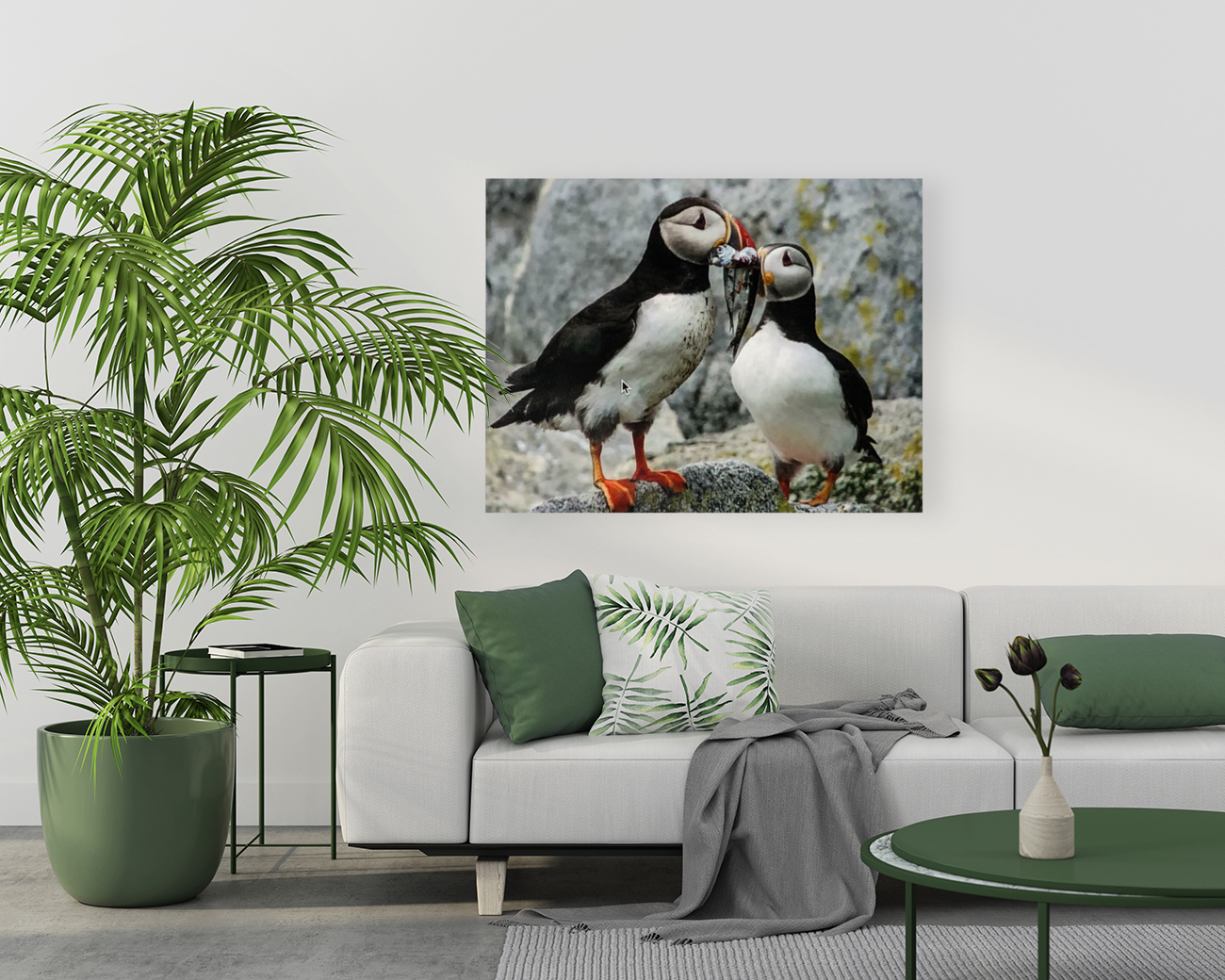Two Puffins Reproduction