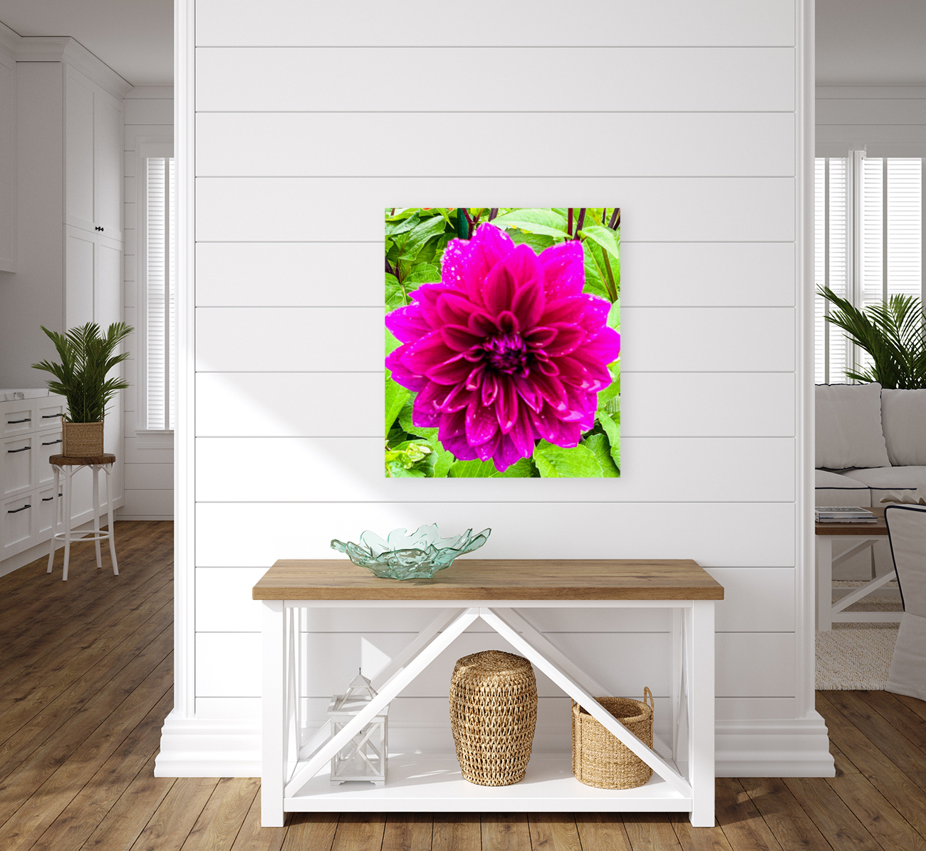 Purple Dahlia Reproduction