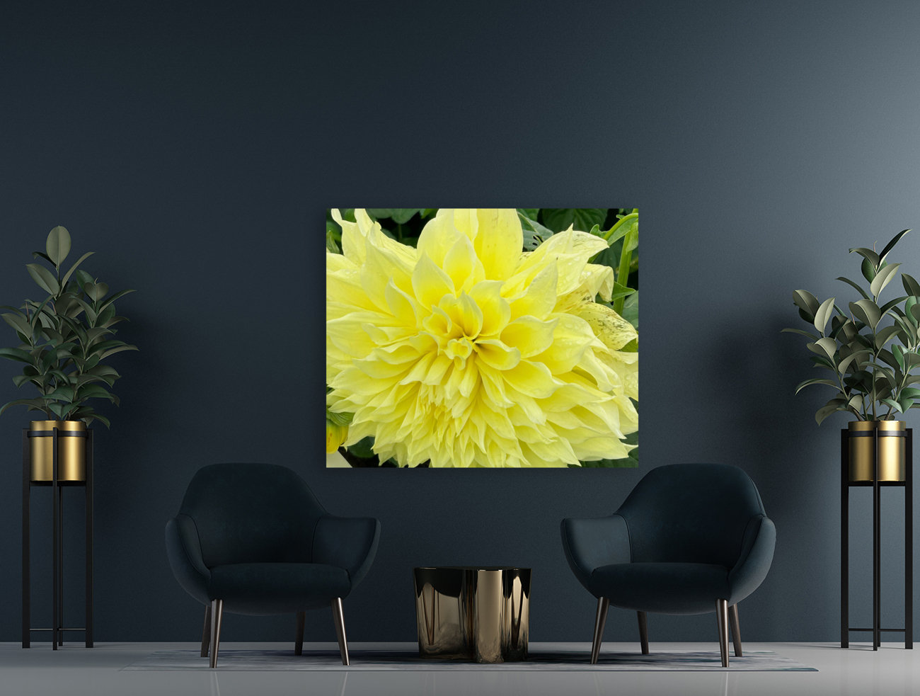 Dahlia Macro Reproduction