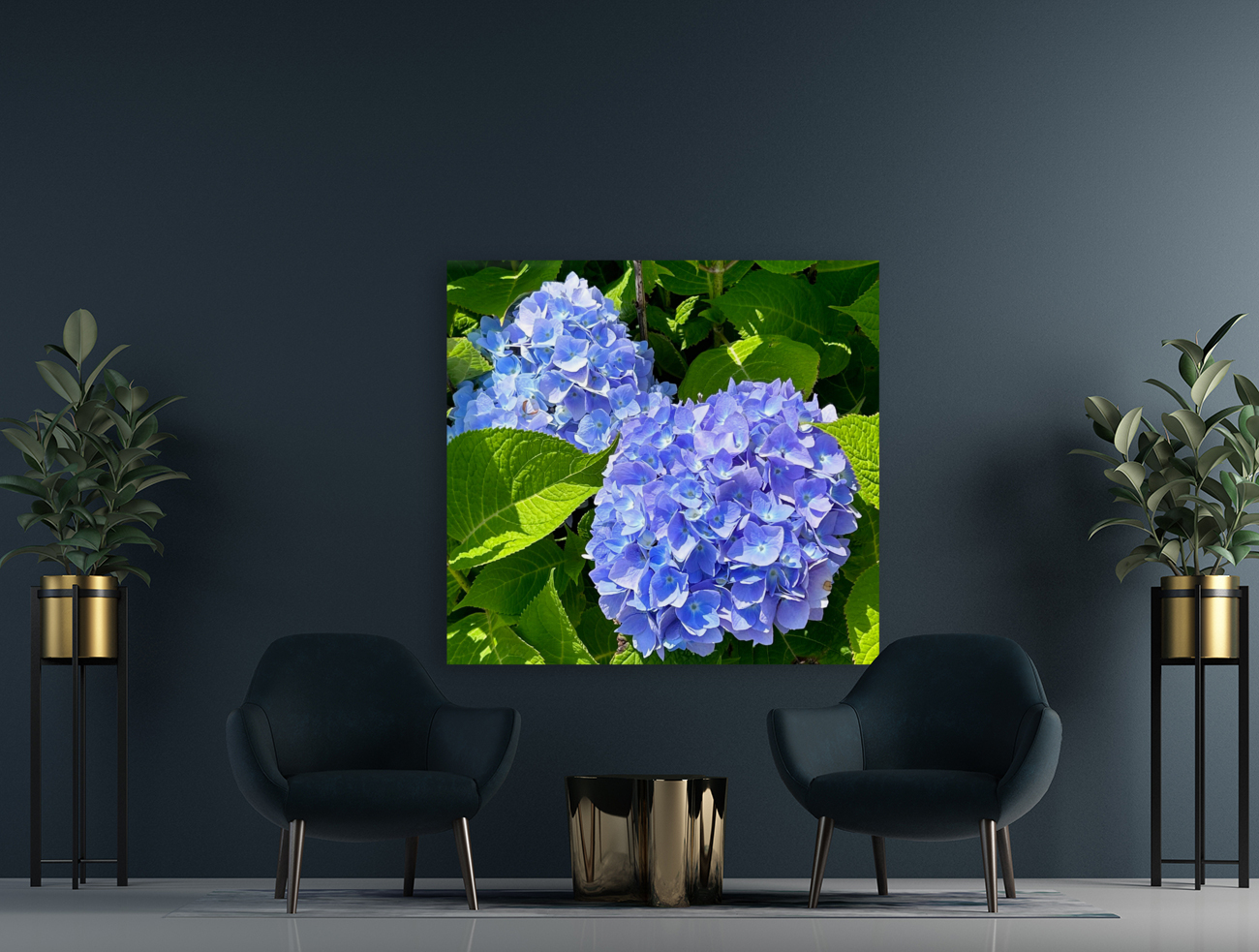 Two Hydrangeas Reproduction