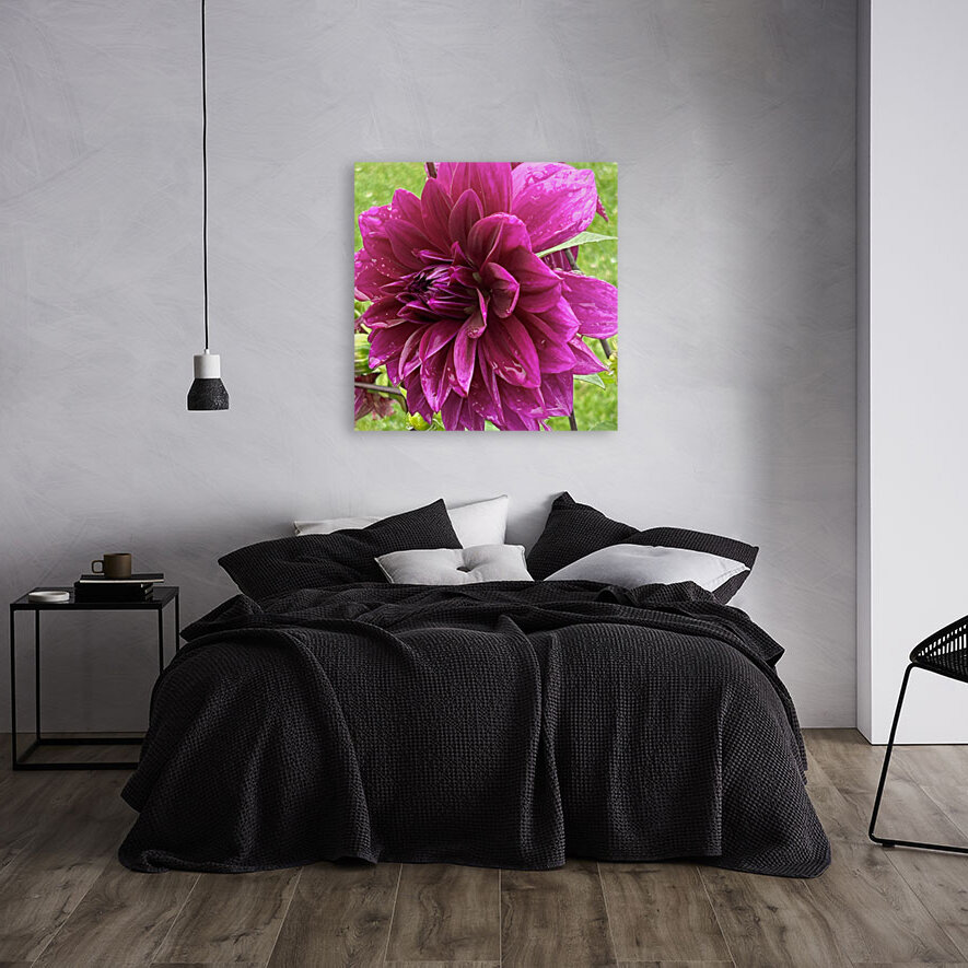 Dahlia Side View Macro Reproduction
