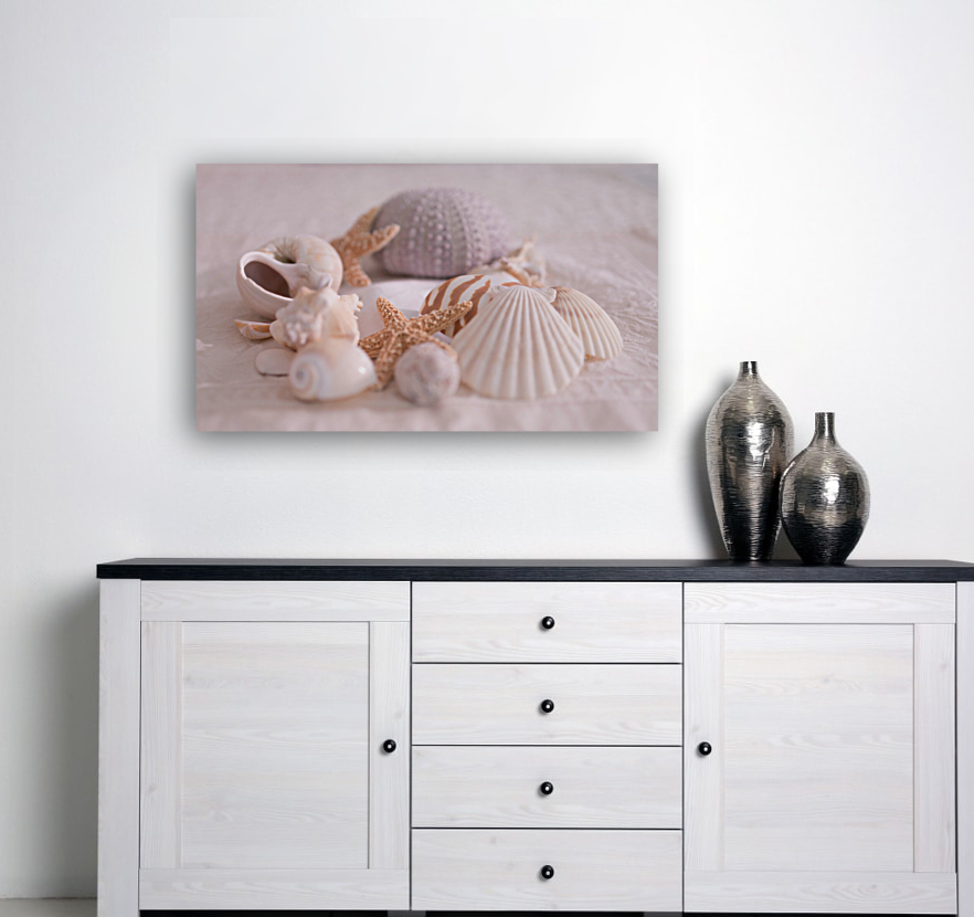 Shell Collection Reproduction