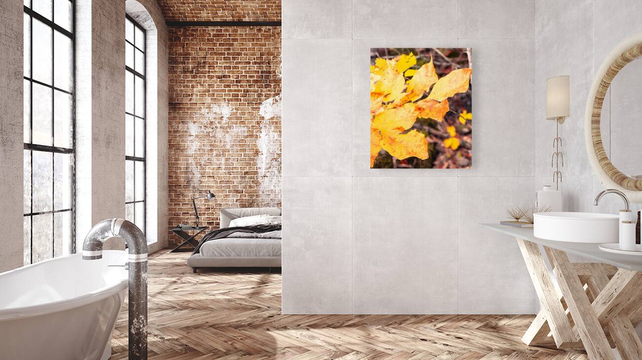 Autumn Leaves Reproduction