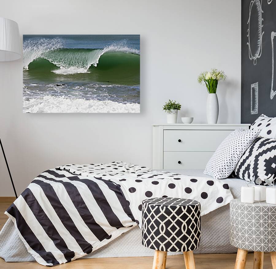 Surfing Anyone Reproduction
