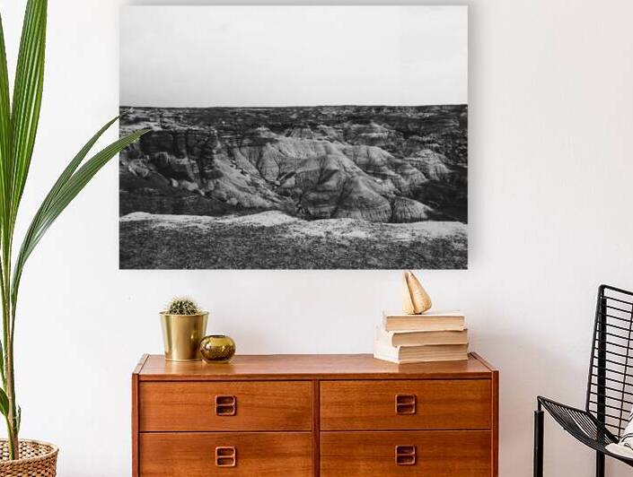 Petrified Forest National Park BW by Palumbo Photography