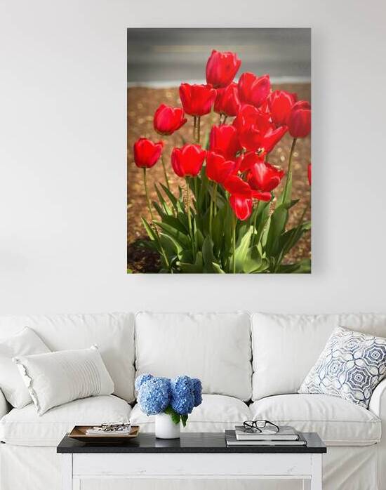 Red Tulips Macro by Palumbo Photography
