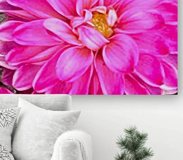 Pink Dahlia Macro Reproduction