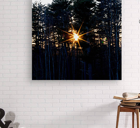 Sunstar Over Riverside Woods by Palumbo Photography