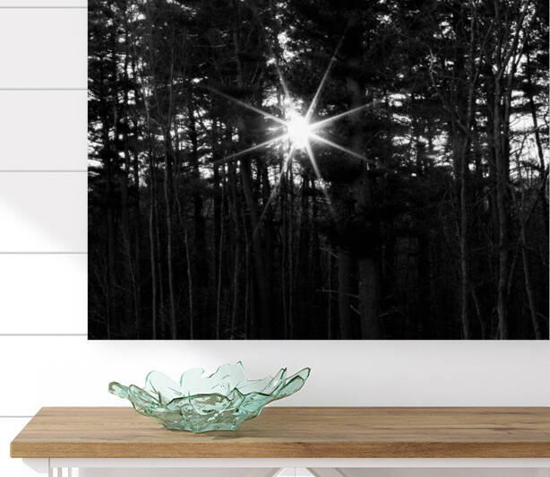 Sunburst Over Riverside Woods BW by Palumbo Photography
