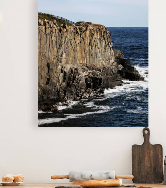 Bald Head Cliff Reproduction