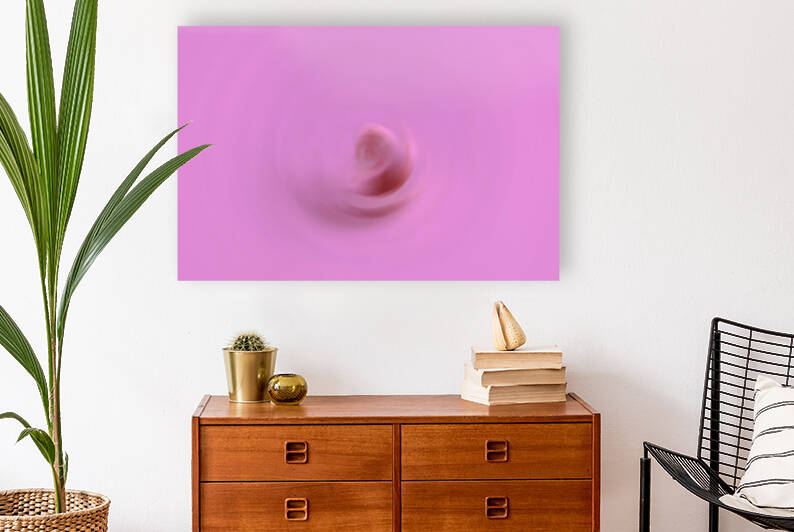 The Twirling Conch Shell by Palumbo Photography