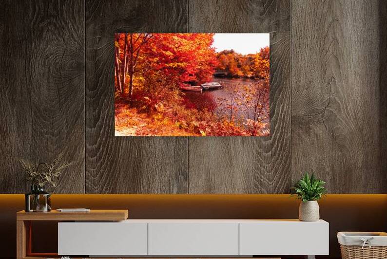 Autumn is Bursting 2022  by Palumbo Photography