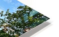 Crescent Lake HD Metal print