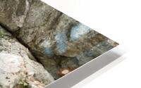 Roaring Falls NH HD Metal print