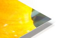Yellow Hibiscus Macro HD Metal print
