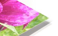 Dahlia Side View Macro HD Metal print