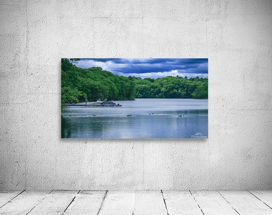 Springtime in Bartons Cove Wall Preview
