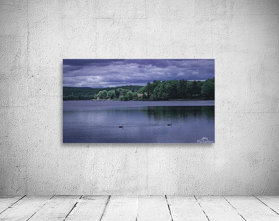 Two Ducks Gill MA Wall Preview