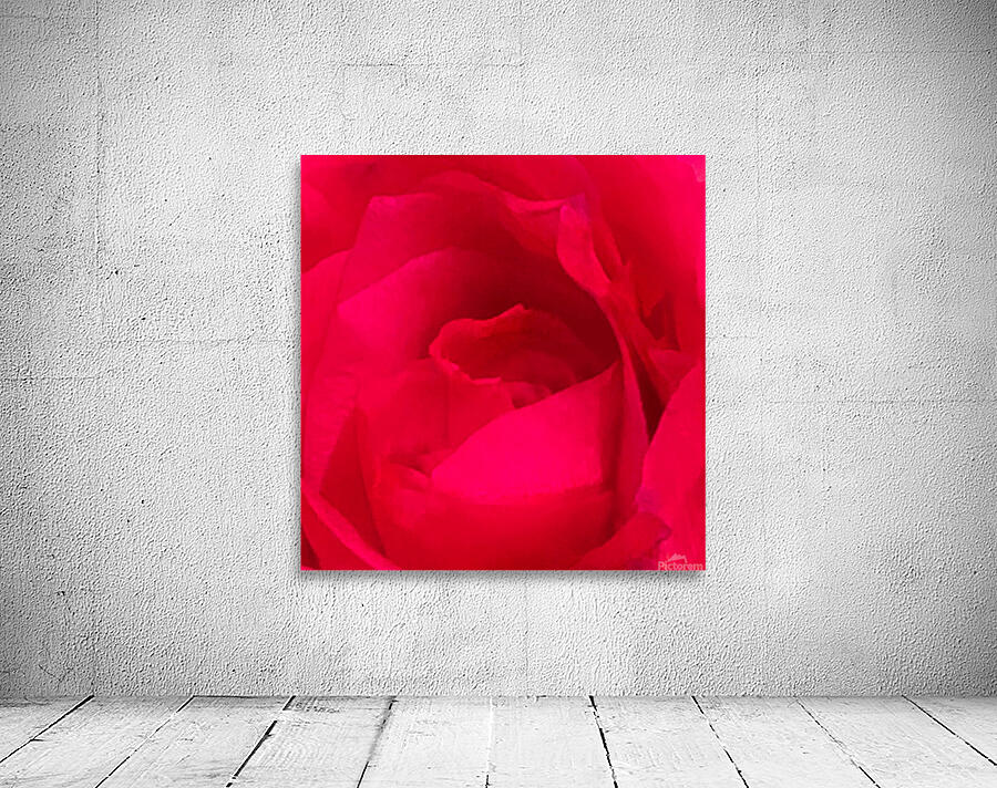 Red Rose Macro Wall Preview