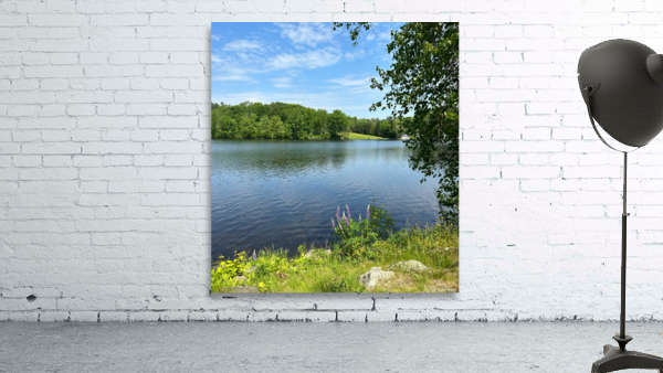 Crescent Lake Wall Preview