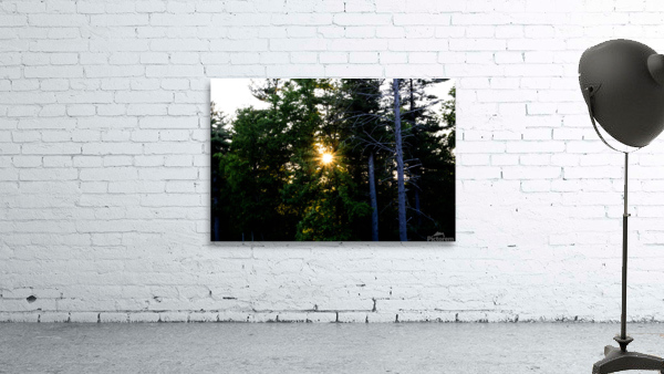 Sunset Star v2.1 Andover Wall Preview