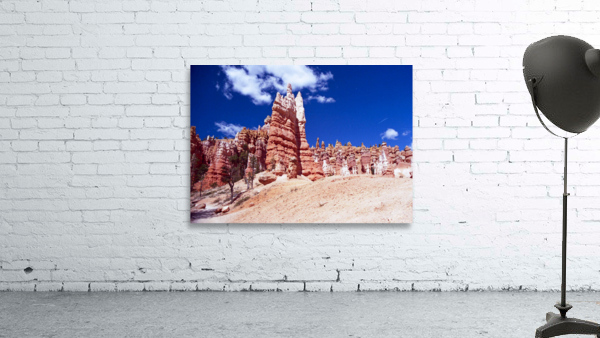 Hiking Along Navajo Trail Utah by Palumbo Photography Wall Art