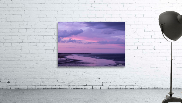 Tide Pools Wall Preview