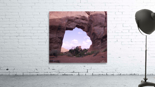 Pine Tree Arch V2 Wall Preview