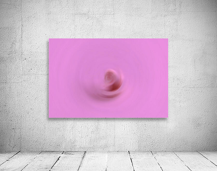The Twirling Conch Shell Wall Preview