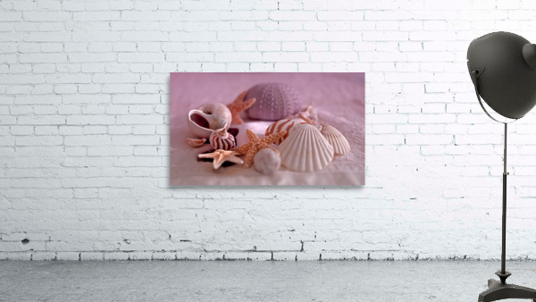Seashells Digital Version Wall Preview