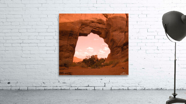 Pine Tree Arch Utah Wall Preview