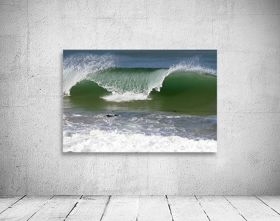Surfing Anyone Wall Preview