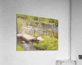 Babbling Brook Acrylic Print